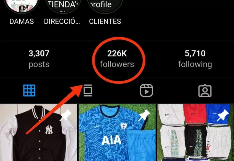Seguidores en instagram gratis